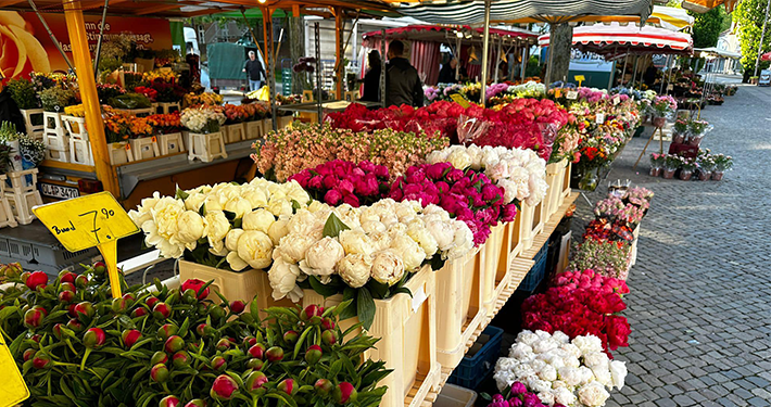 achimer wochenmarkt schnittblumen