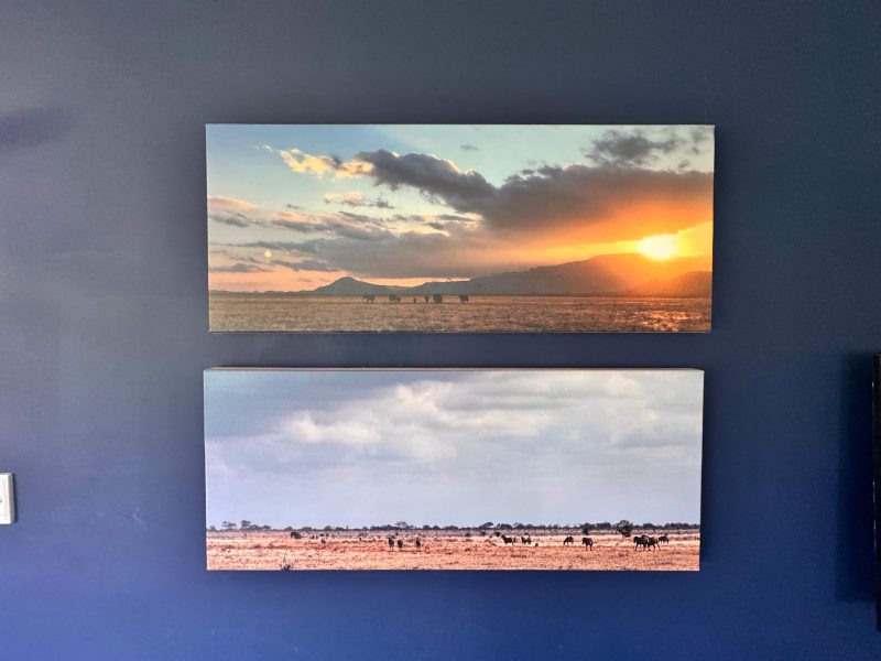 Photo of south african landscape photography in a private home in Ballito, Durban, South Africa