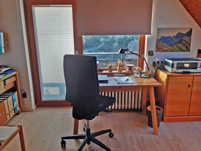 Foto eines Büro mit Plissees und Rollos als Sonnen- und Blende Schutz bei der Arbeit am Laptop.