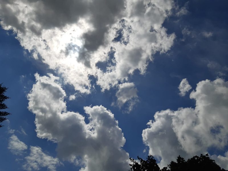 Foto einer Wolkenformation im strahlend blauen Himmel.
