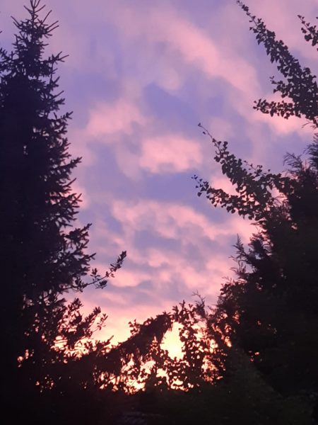 Foto mit Blick zum Himmel in der Abenddämmerung