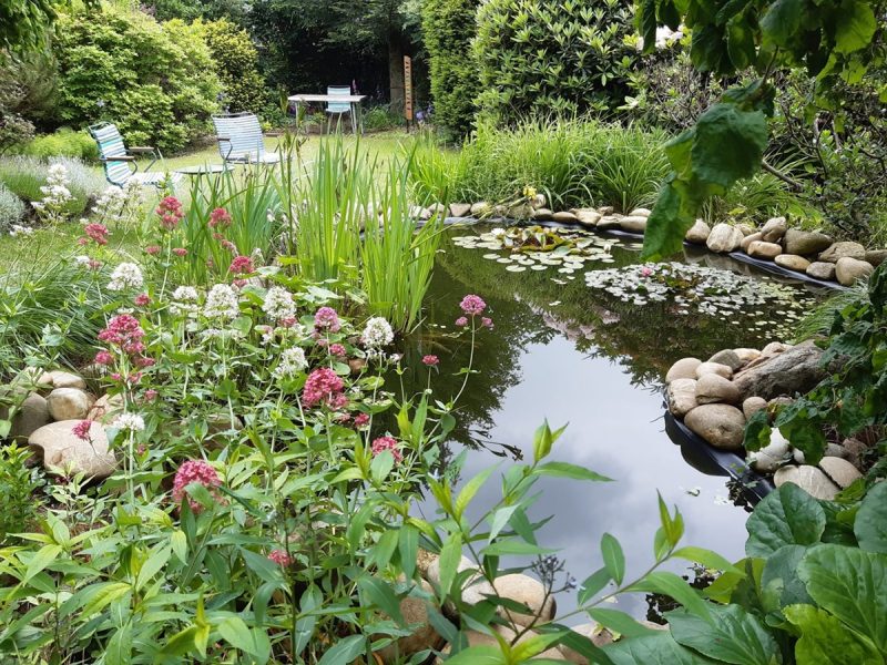 Foto mit idyllischem Blick von der Terrasse über den Gartenteich
