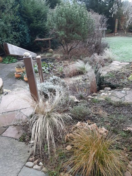Foto von Gräsern im Garten mit einer Wege im Vordergrund – eine winterliche Stimmung