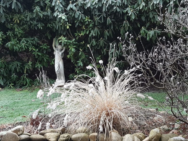 Foto von Gräsern im Garten mit einer Figur im Hintergrund – eine winterliche Stimmung