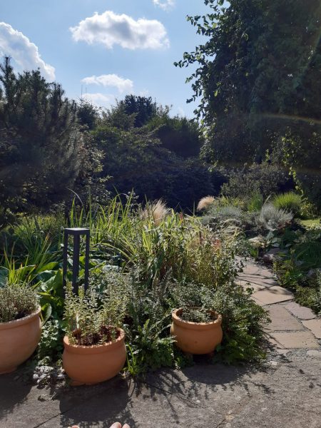 Foto der Gartenweg ausgehend von der Kippliege-Ecke