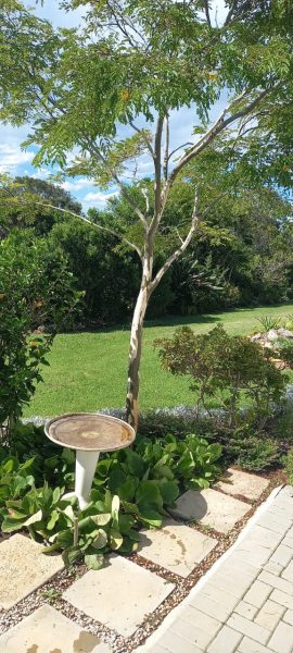 Heavenly bird watching spot in the early morning.