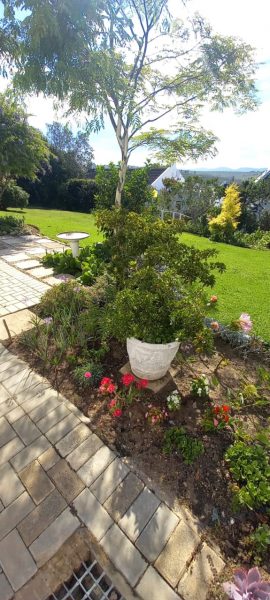View from the garden and flowerbeds to the stretch of lawn which is communal property for residents.