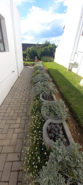 The stone wall on the side of the cottage is also adorned with flowering plants.