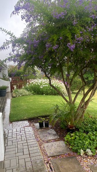 Flowers and garden development has always played a large role in my life and inspired me to be creative.