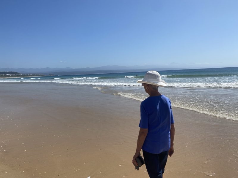 Lookout beach on a summer”s day stroll.