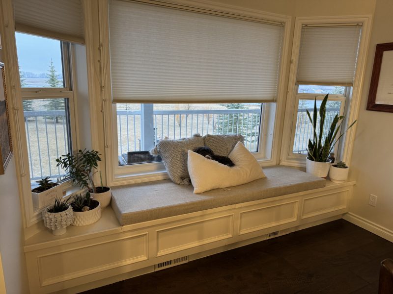 Window seat with a view into the back yard.