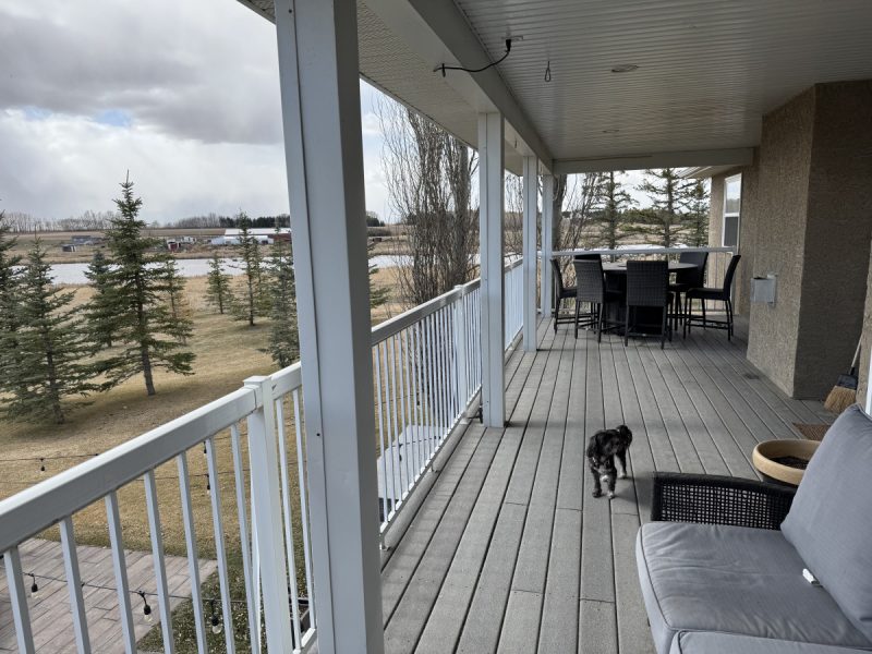 Back porch with a view into the expansive backyard and beyond