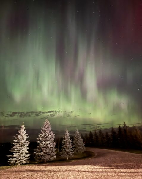 Northern lights viewed from the backyard