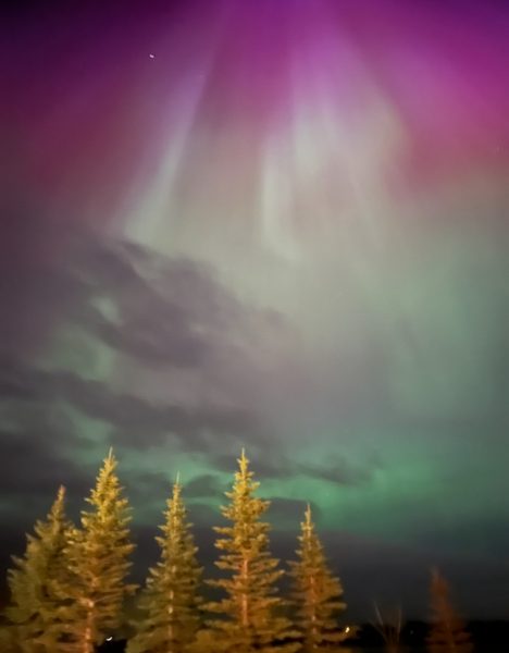 Northern lights viewed from the backyard