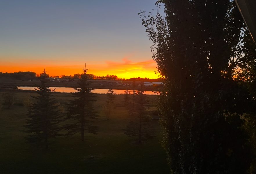 Summer sunset view from the backyard