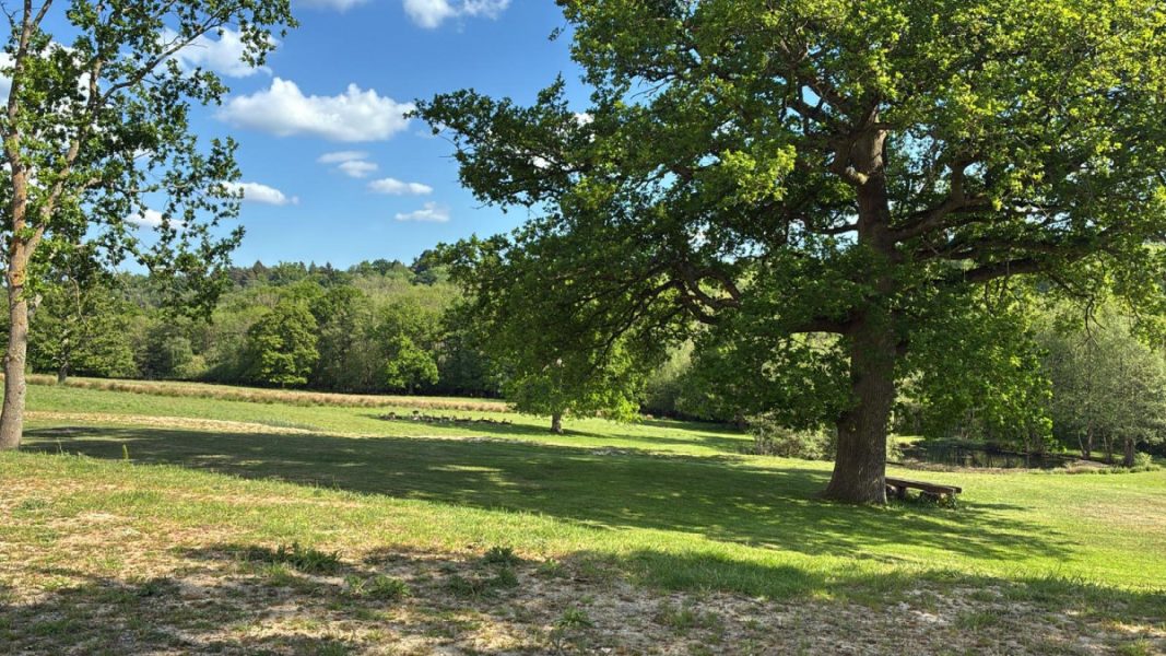 Photo of the view from the house meandering gently down to the property perimeter
