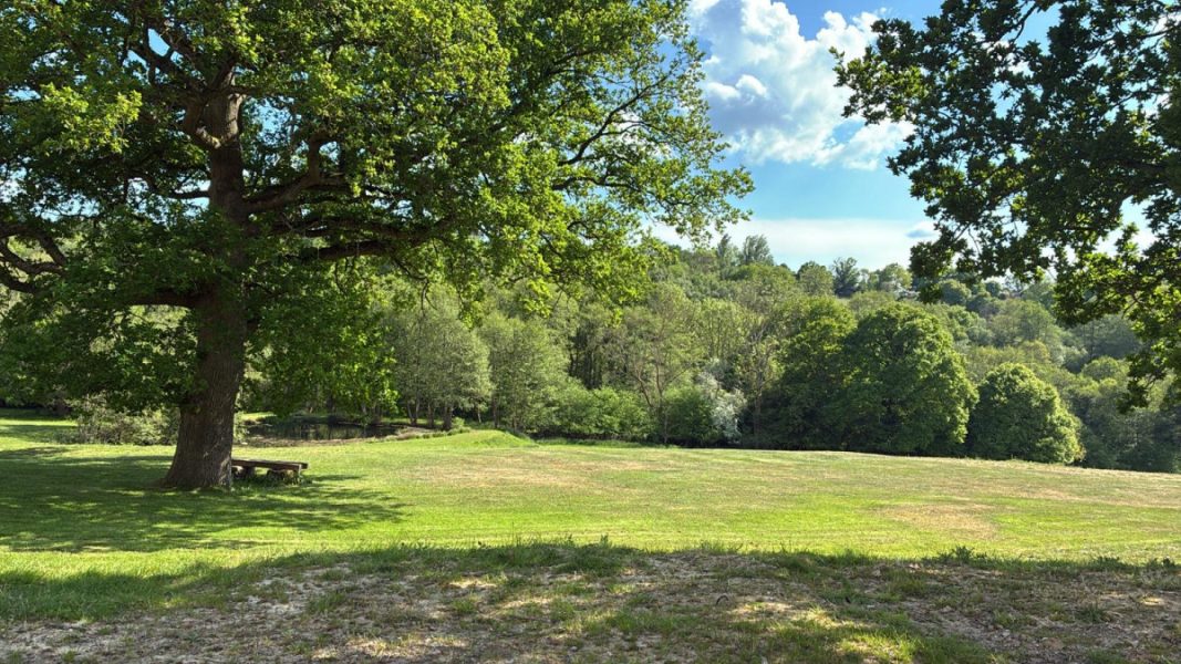Photo of the view from the house meandering gently down to the property perimeter