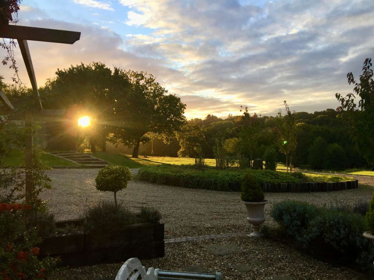 Photo showing the glorious view and the play of light through the trees beyond the driveway