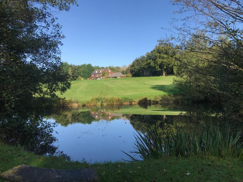 Photo with a view from the pond