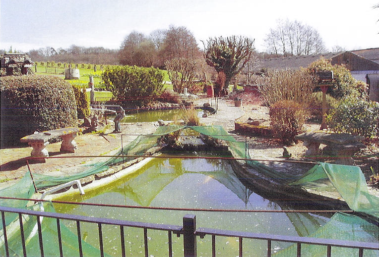Photo showing the state of the garden when purchasing the property