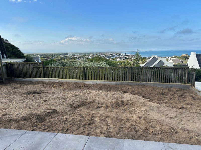 Photo of the garden - the blank canvas to be transformed.