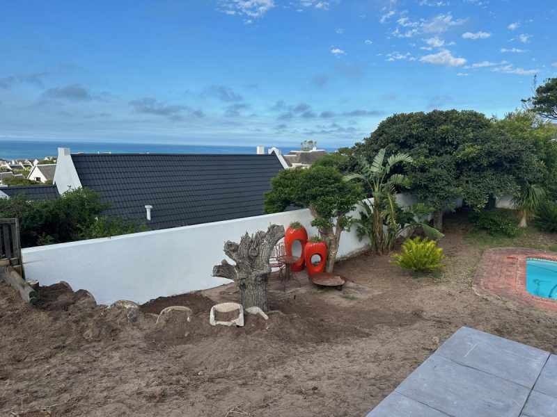 Photo of the garden - work in progress.