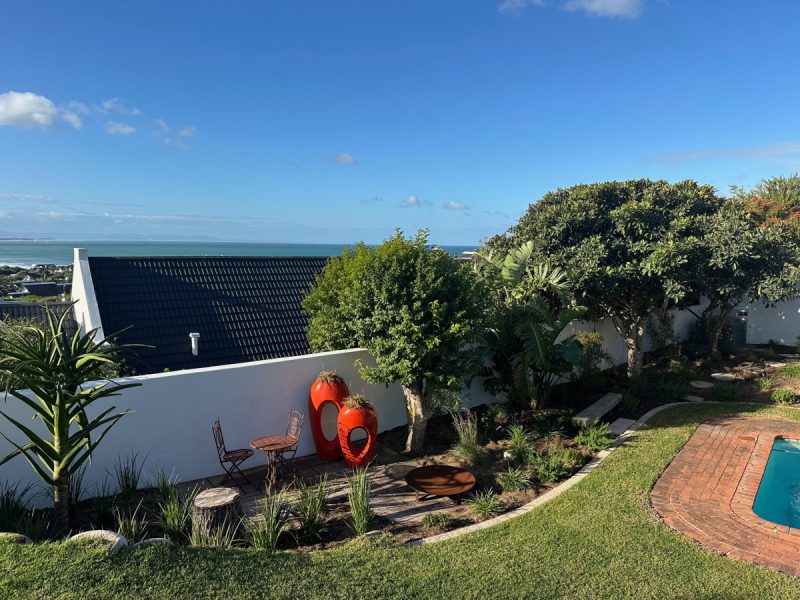 Photo of the garden after the landscaping.