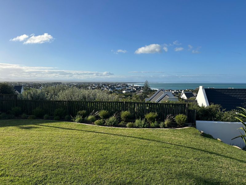 Photo of the garden after the landscaping.