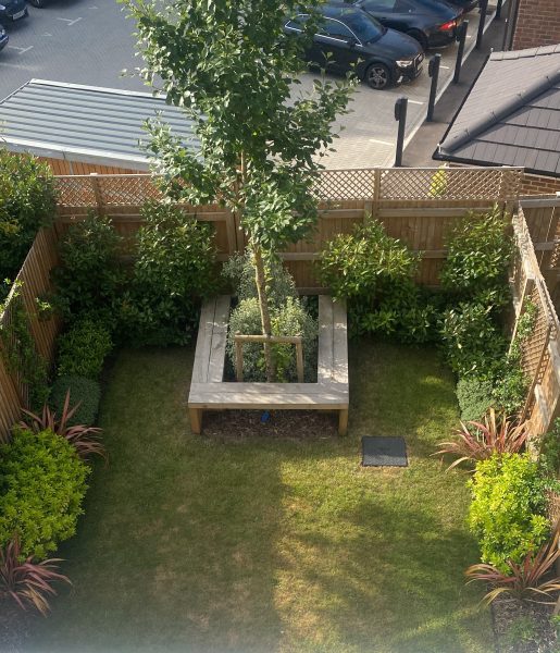 Photo of the view down into the garden behind the house.