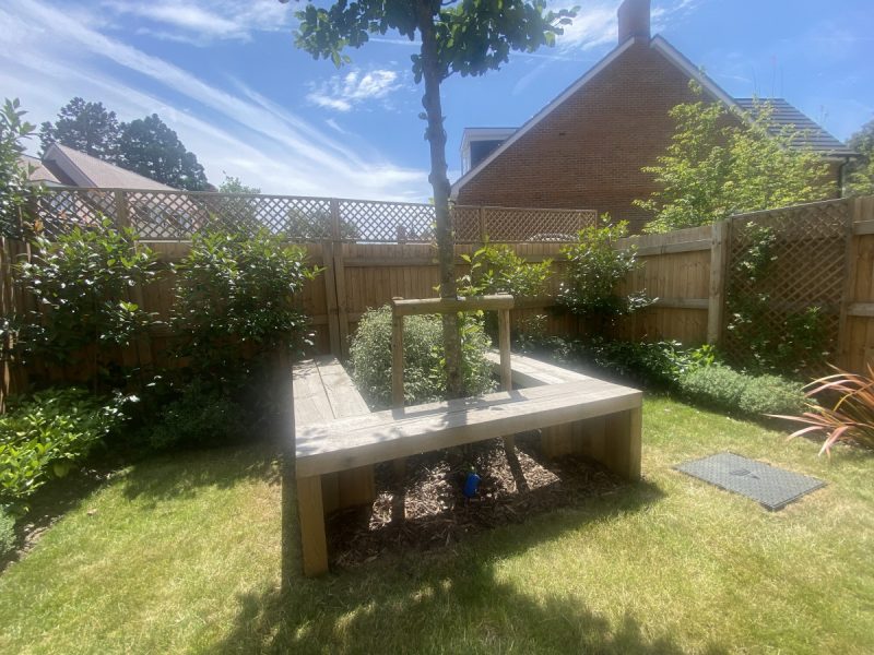 Photo of the garden
