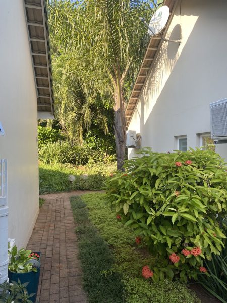 Photo of a pathway at the side of a cottage
