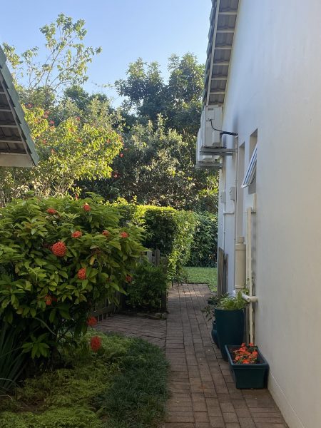 Photo of a pathway at the side of a cottage