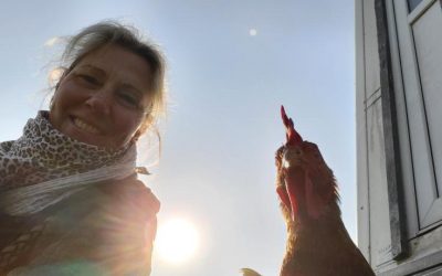 Frühstücksei – lokal genial