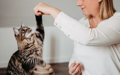 Katzenexpertise vom Herzen